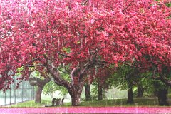 photo 0023